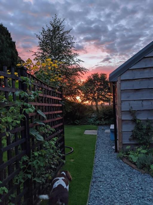 La'Al Cabin, Tiny Home, Unique Space Eden Valley Cumbria 布兰普顿 外观 照片